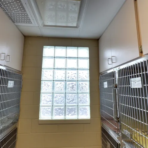 Peotone Animal Hospital Medium Size Kennels that are located in both sides of the wall