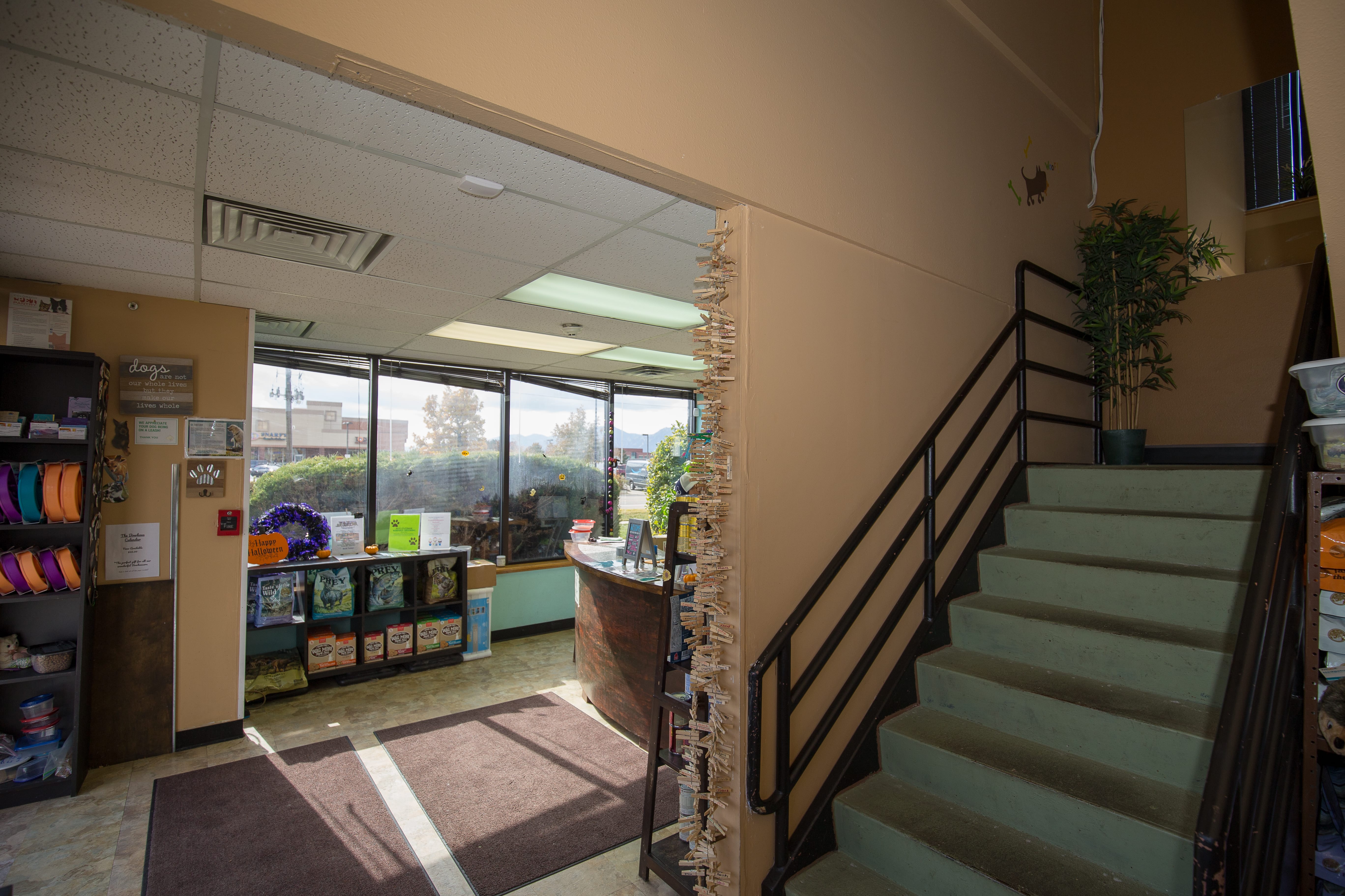 Interior of Bowhaus in Boulder, CO