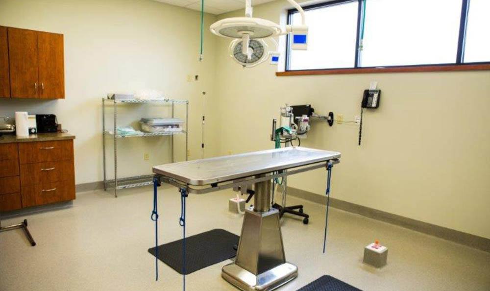 Southside Pet Hospital Operation table
