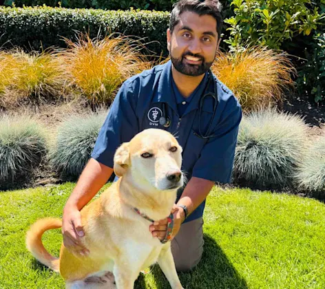 Dr. Manraj holding dog Dr. Manraj holding dog