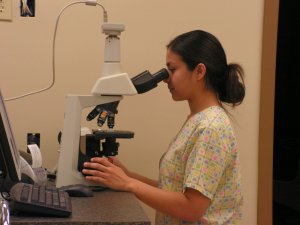 AMC Kingsville Microscope