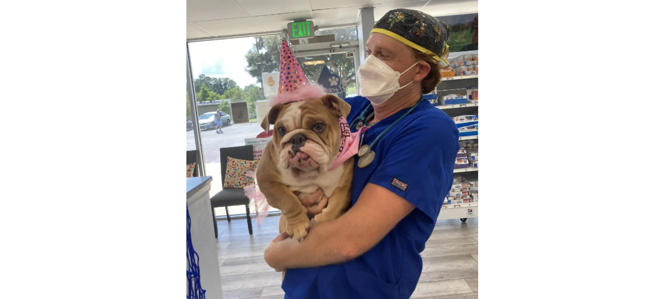 A veterinarian celebrating a dog's birthday