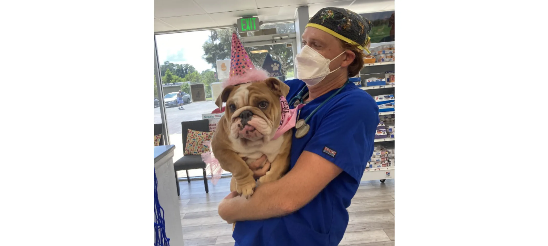 A veterinarian celebrating a dog's birthday A veterinarian celebrating a dog's birthday