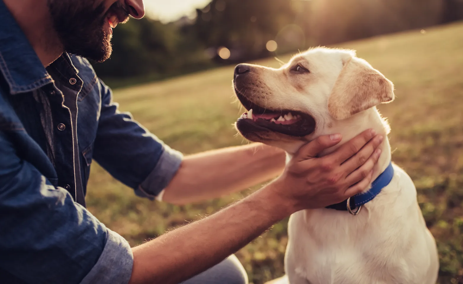 Man and dog smiling at eachother