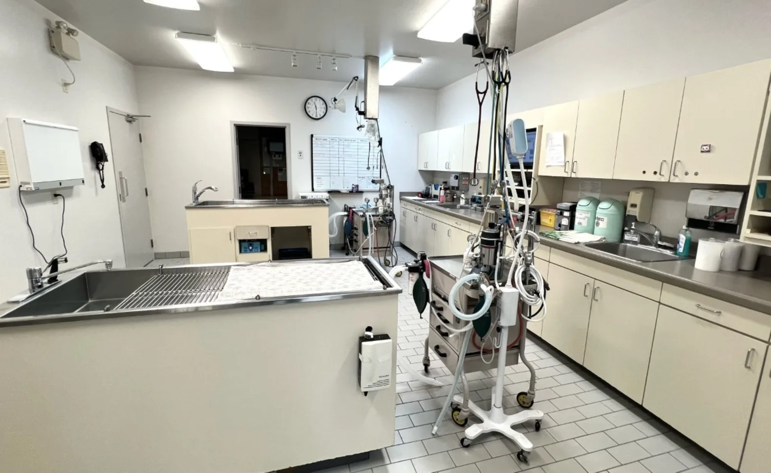 An area for veterinary treatment at Mitchell Animal Hospital An area for veterinary treatment at Mitchell Animal Hospital