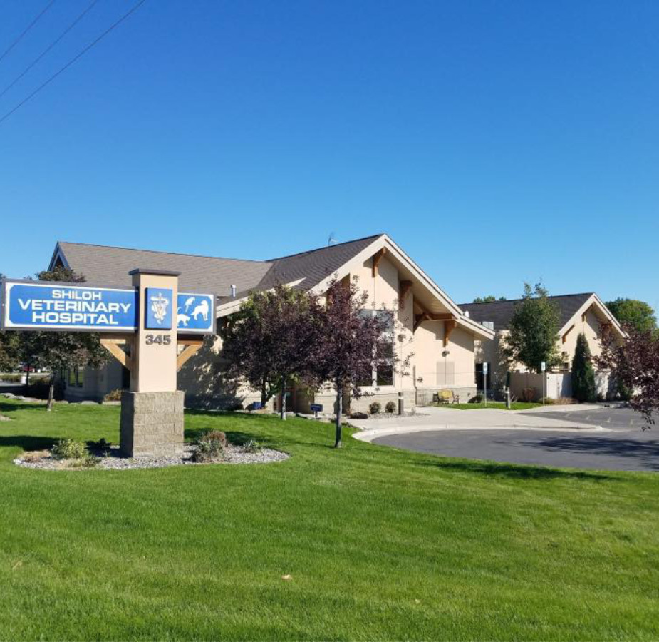 Updated brighter photo of Shiloh Vet's exterior