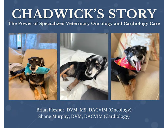 Chadwick's Journey: The Power of Specialized Care Chadwick's Journey: The Power of Specialized Care