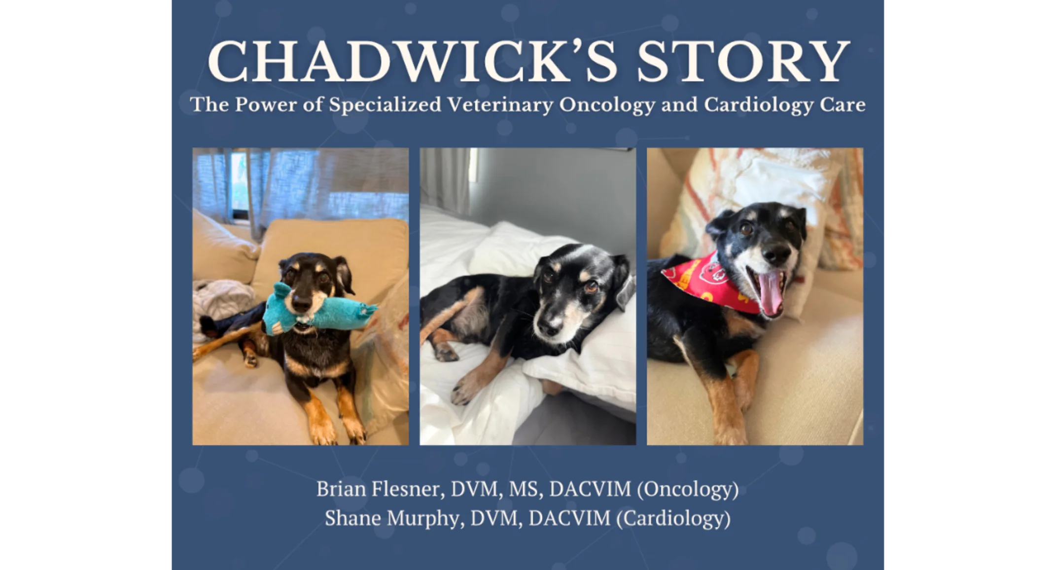 Chadwick's Journey: The Power of Specialized Care Chadwick's Journey: The Power of Specialized Care
