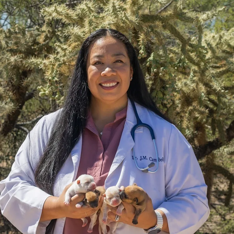 Janelle Campbell Janelle Campbell