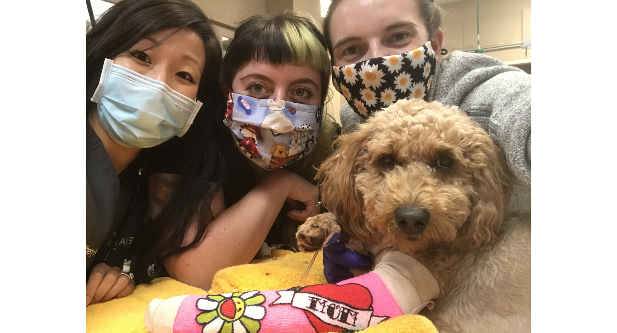 Arizona Veterinary Emergency & Critical Care Center Staff taking selfie with a dog in a pink cast 