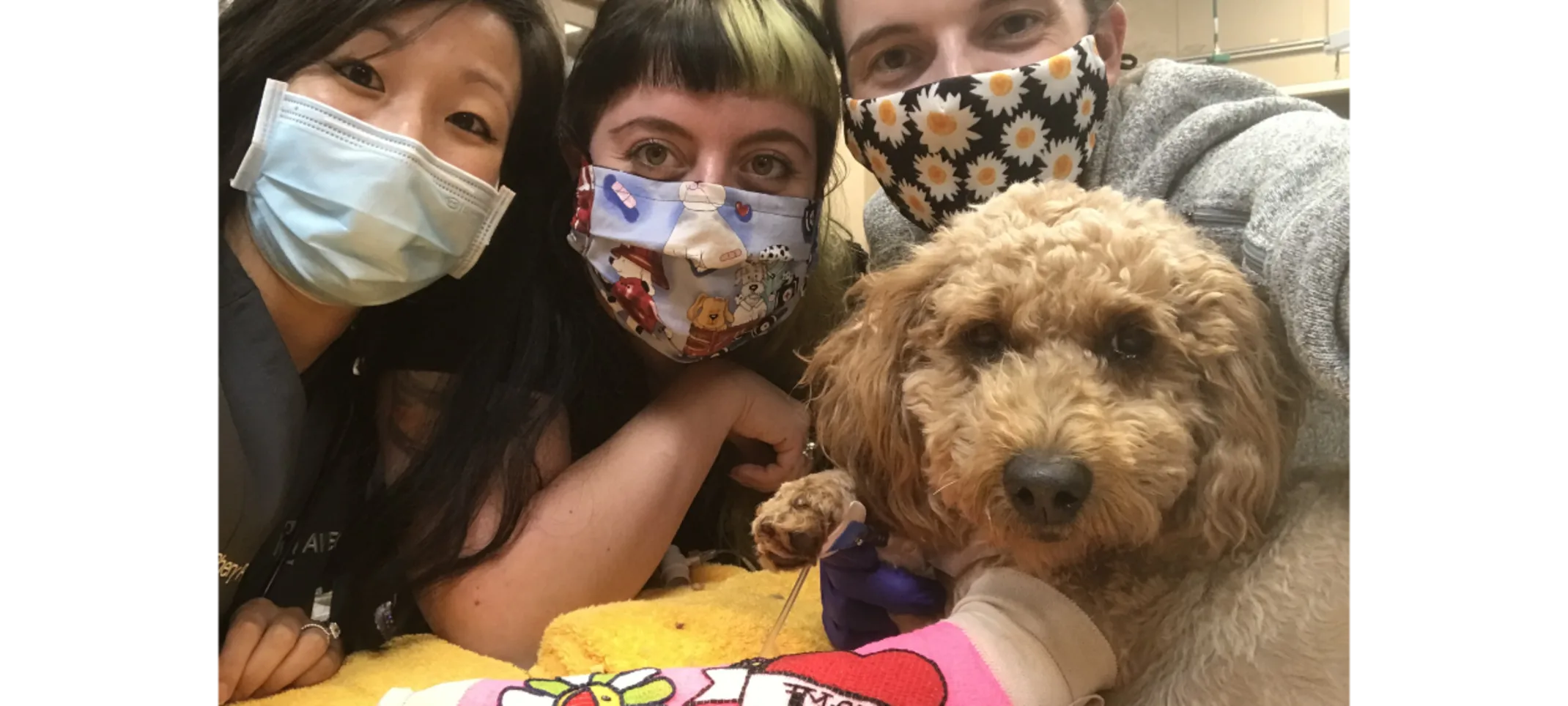 Arizona Veterinary Emergency & Critical Care Center Staff taking selfie with a dog in a pink cast Arizona Veterinary Emergency & Critical Care Center Staff taking selfie with a dog in a pink cast