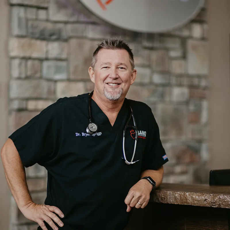 Bryan Spriggs Bryan Spriggs