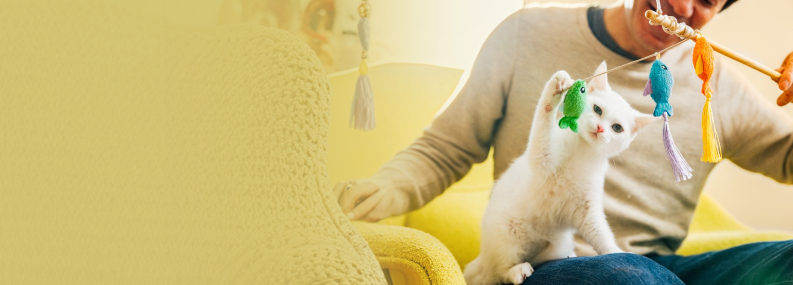 White cat playing with toys