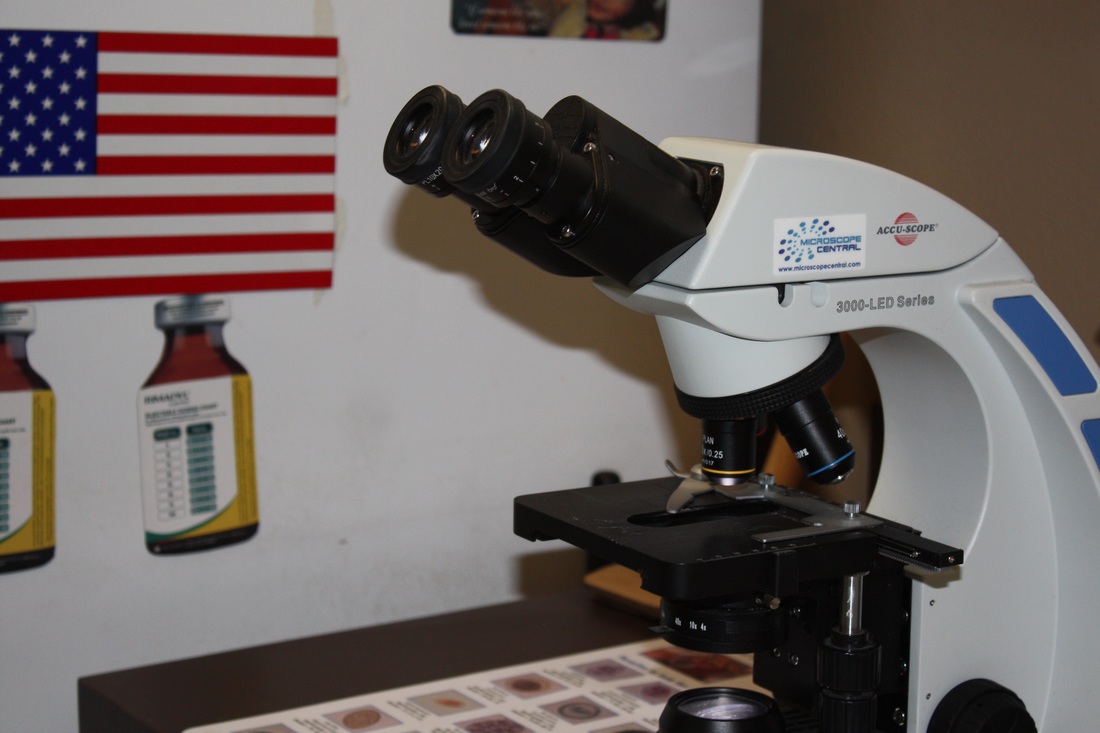 Westridge Animal Hospital Microscope