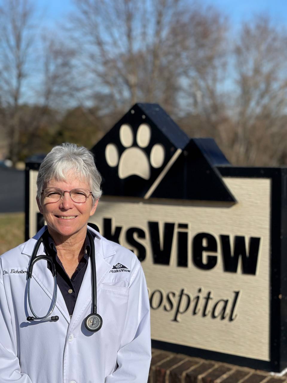 Peaks View Animal Hospital