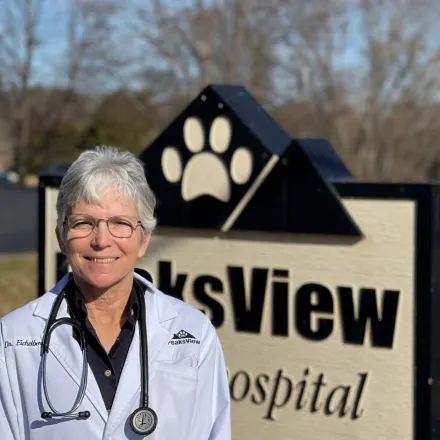 Dr. Kathy Eichelberger from Peaks View Animal Hospital.