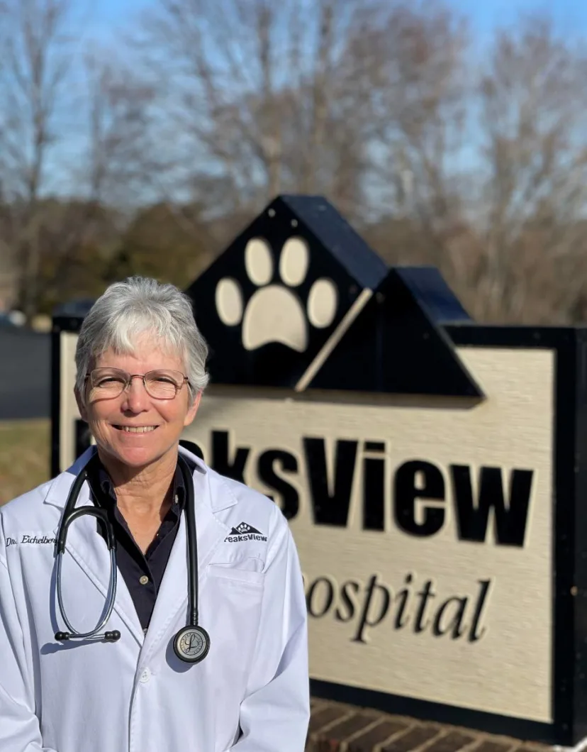 Dr. Kathy Eichelberger from Peaks View Animal Hospital.