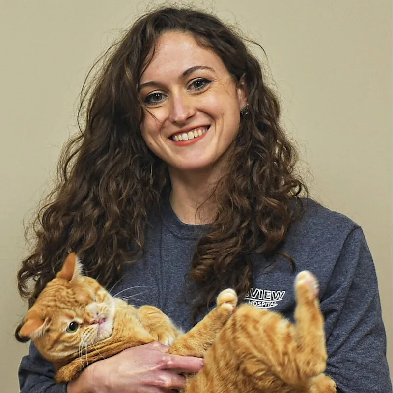 Corinne Herman at Lakeview Animal Hospital Corinne Herman at Lakeview Animal Hospital