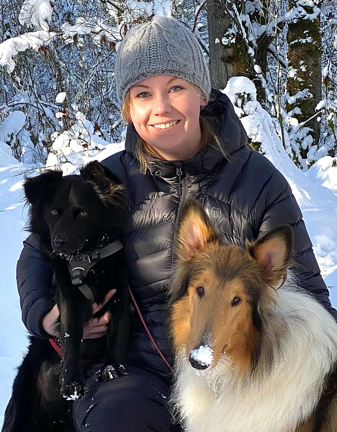 Brookfield Veterinary Hospital Traci Brookfield Veterinary Hospital Traci