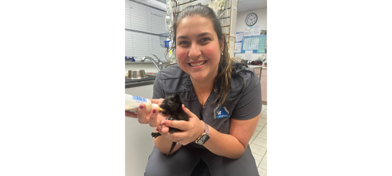 Staff member feeding a kitten