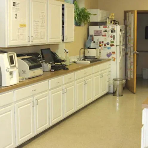 Lab Area Lab Area