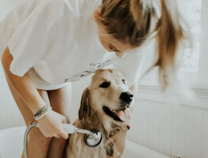 woman giving dog a bath