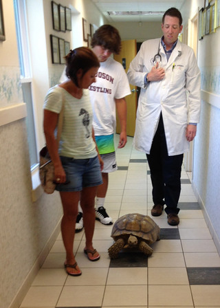 Poquoson Veterinary Hospital.  This picture shows a mom and her son, a large tortoise and a male veterinarian walking next to the tortoise in the hospital's hallway. They're watching the tortoise as he/she walks with them. 