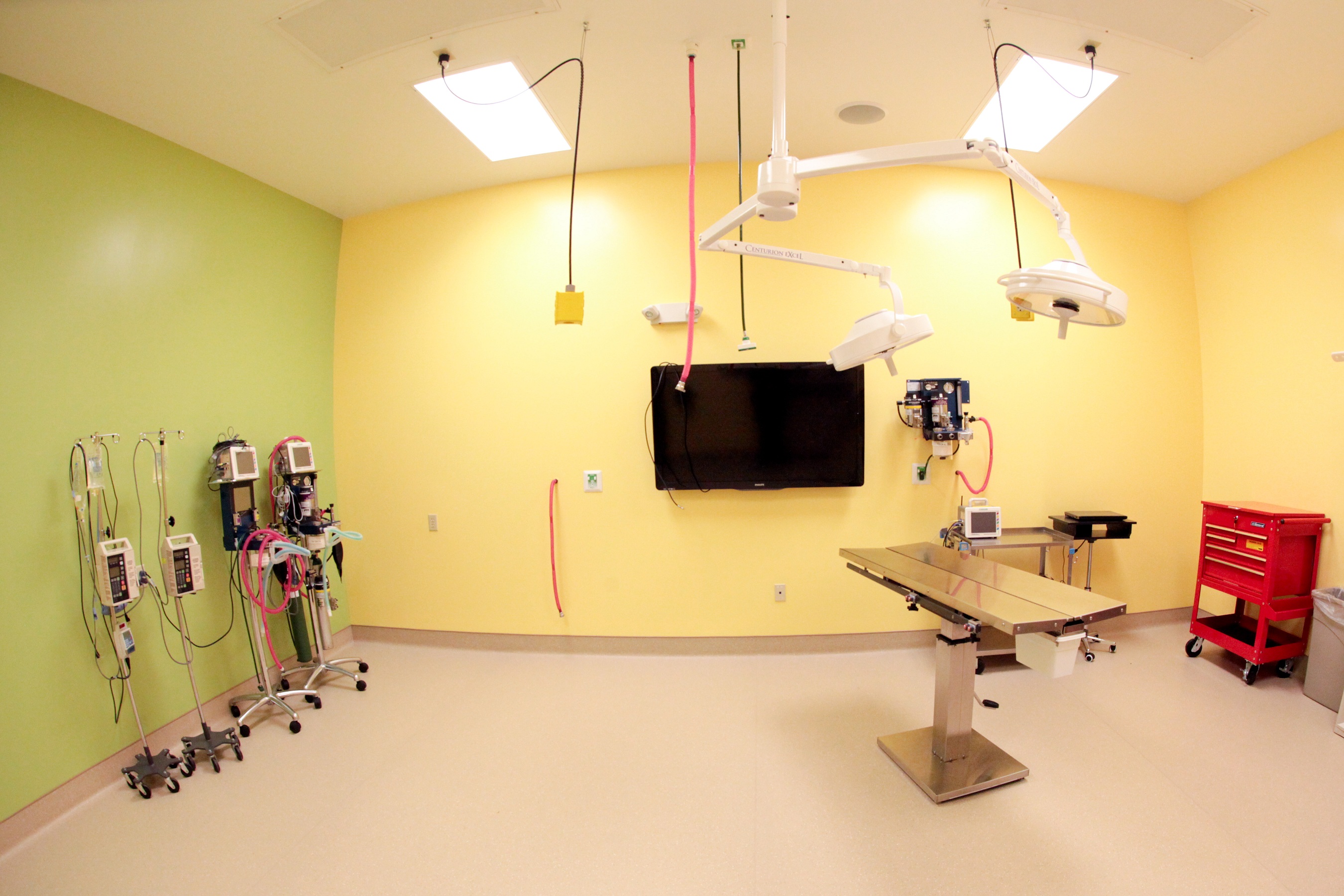 Advanced Animal Care of Colorado Surgery