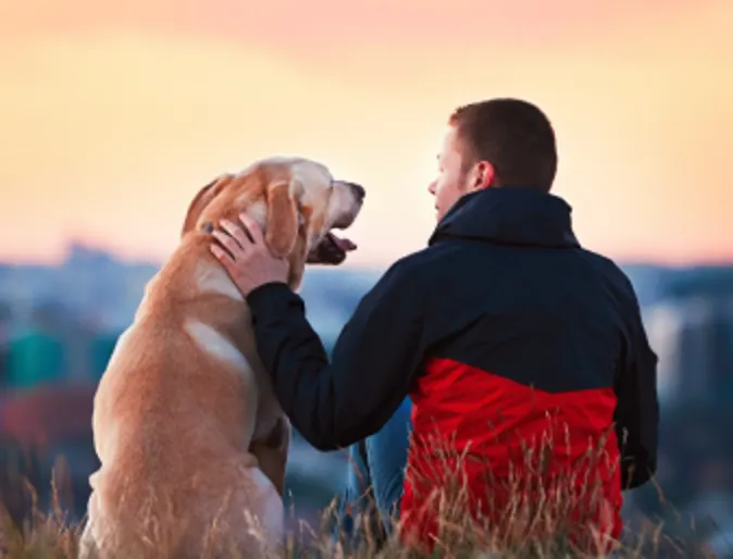 Dog and owner sitting together overlooking a city skyline at sunset