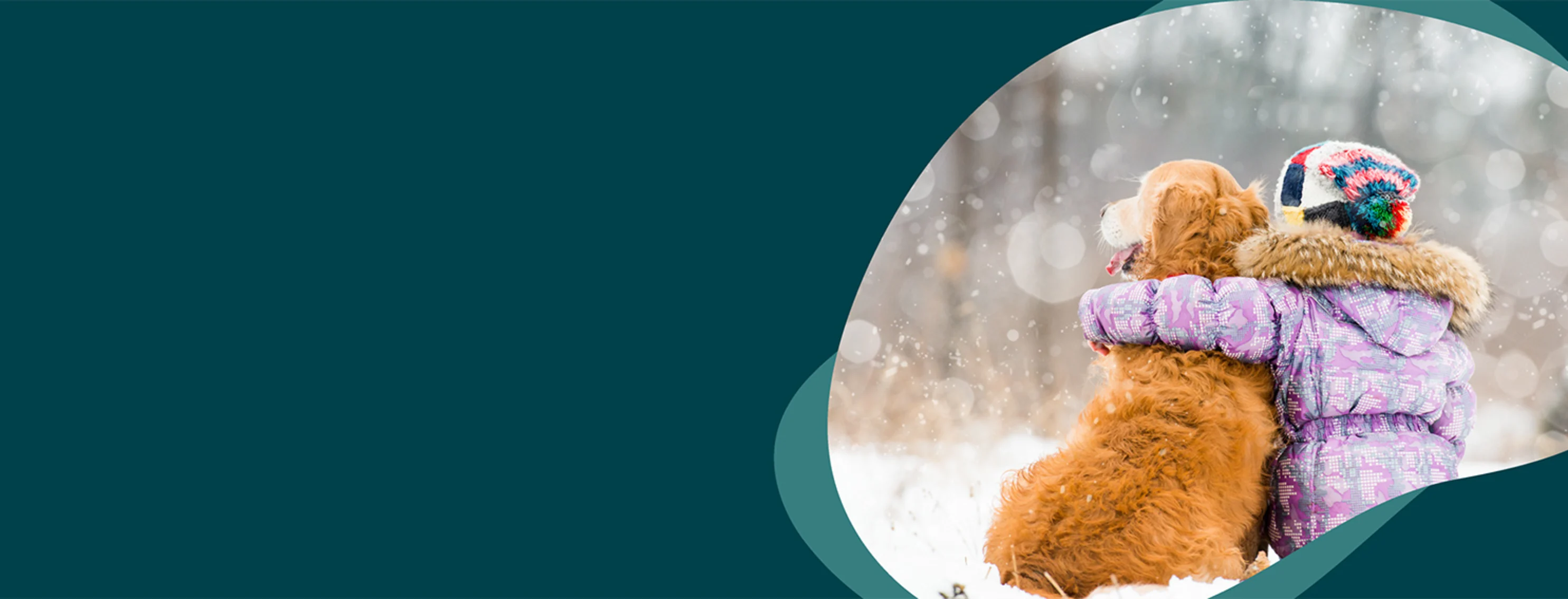 A child and dog sitting outside in the snow together A child and dog sitting outside in the snow together