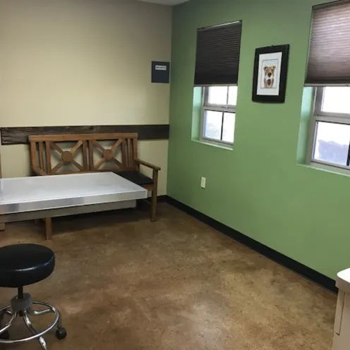 Ocotillo Animal Clinic and Pet Resort Exam Room