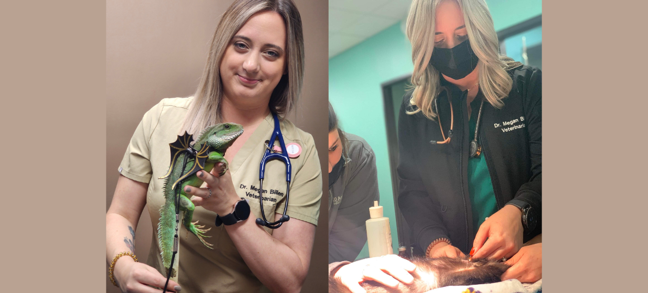 Dr. Billen Holding a Lizard