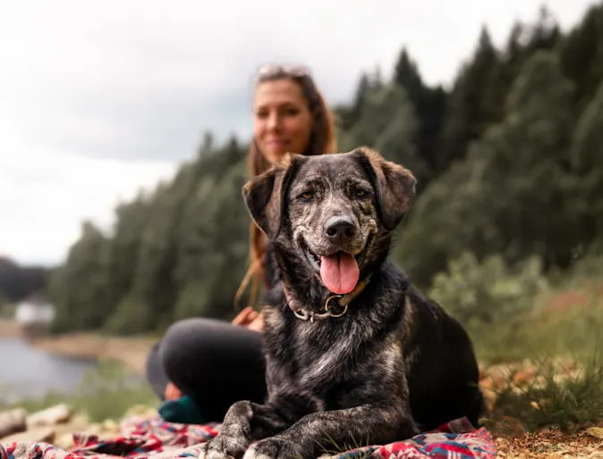 Dog and woman by the lake. Dog and woman by the lake.