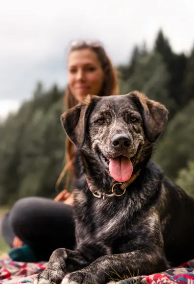 Dog and woman by the lake. Dog and woman by the lake.