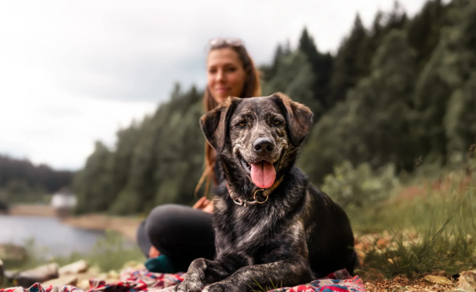 Dog and woman by the lake.