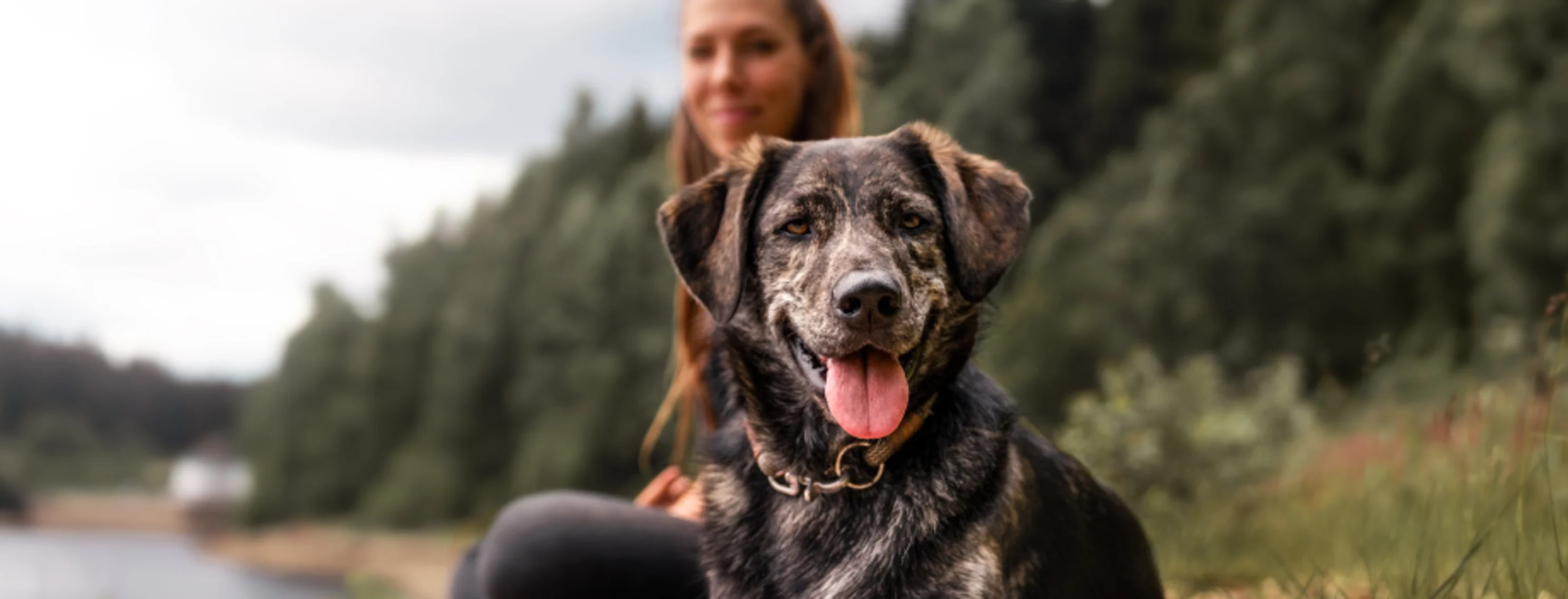 Dog and woman by the lake. Dog and woman by the lake.