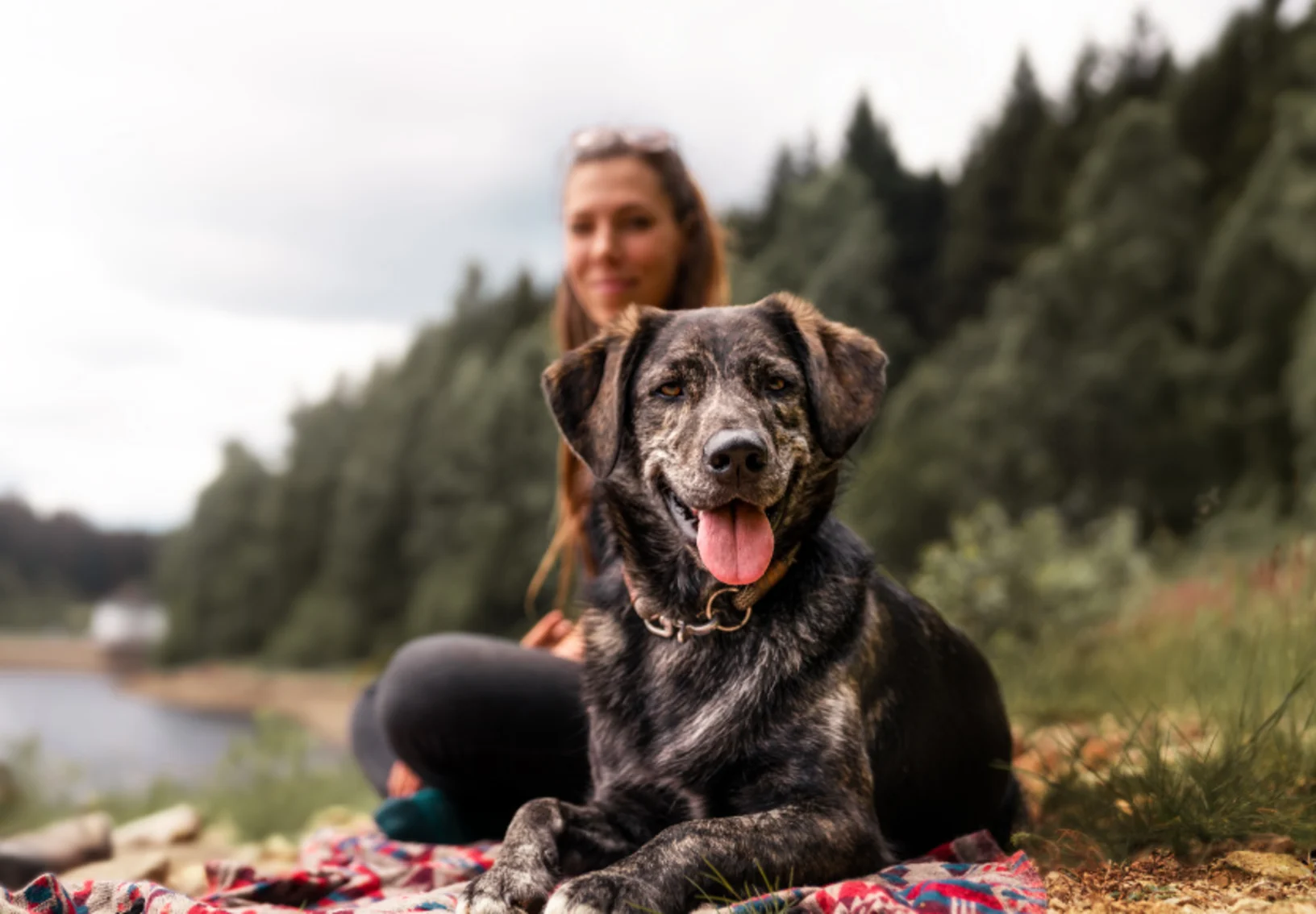 Dog and woman by the lake. Dog and woman by the lake.