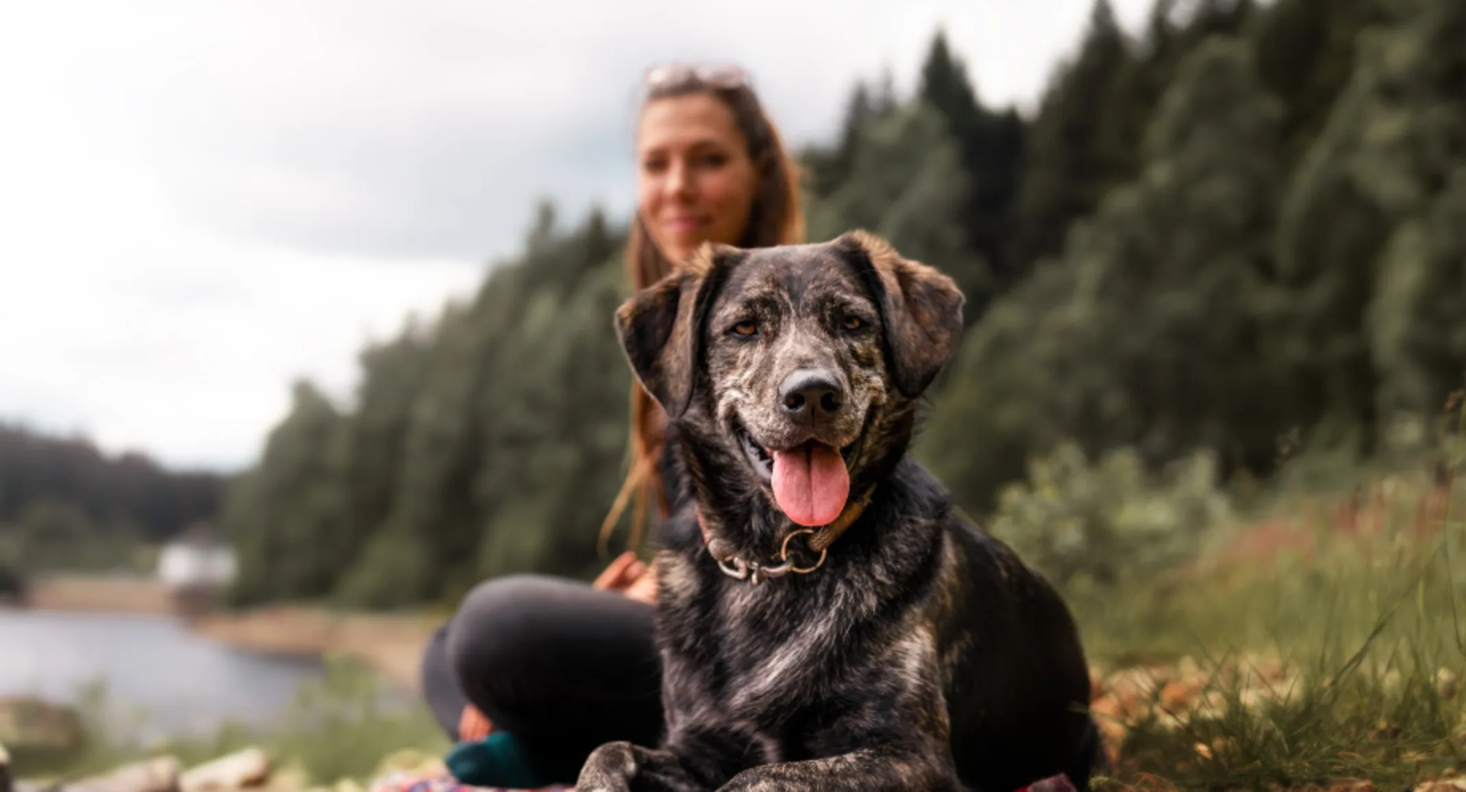 Dog and woman by the lake. Dog and woman by the lake.