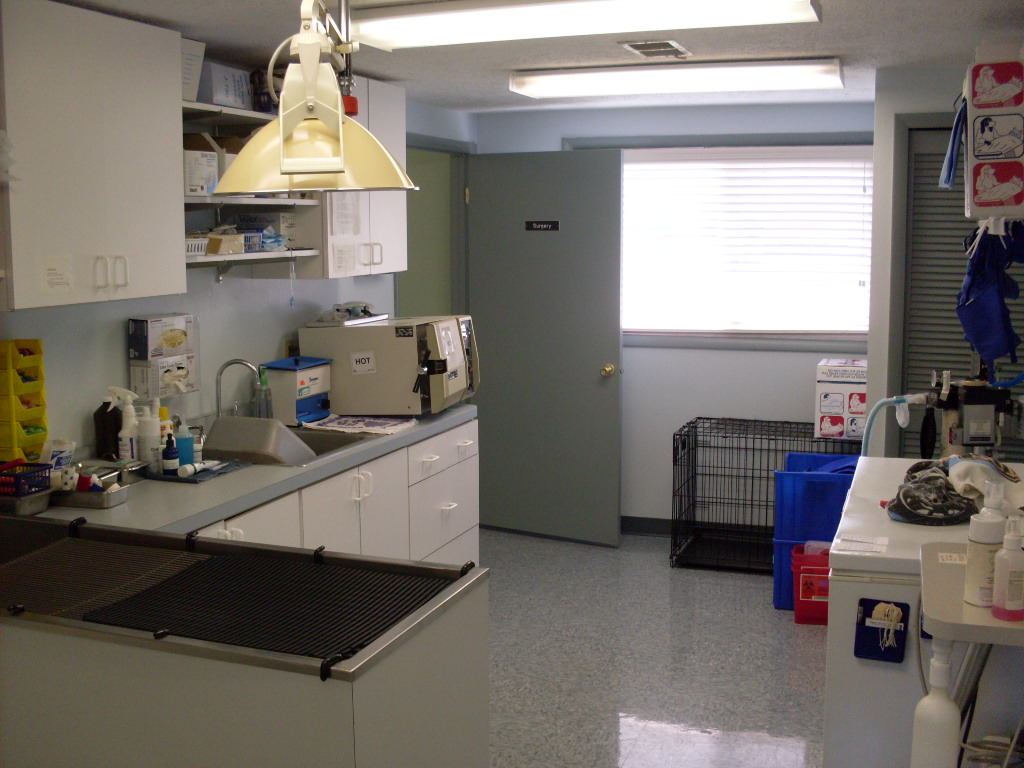 Inside the hospital clinic at Mentor Animal Hospital
