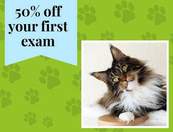 50% off first exam