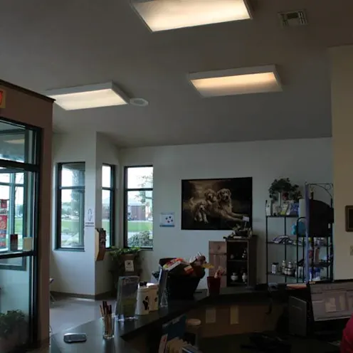 Stateline Hillcrest Small Animal Hospital Waiting Area Stateline Hillcrest Small Animal Hospital Waiting Area