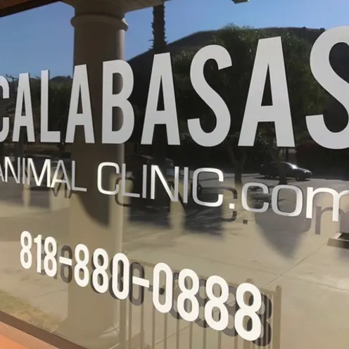 Calabasas Animal Clinic Sign that has their phone number 818-880-0888 and website url