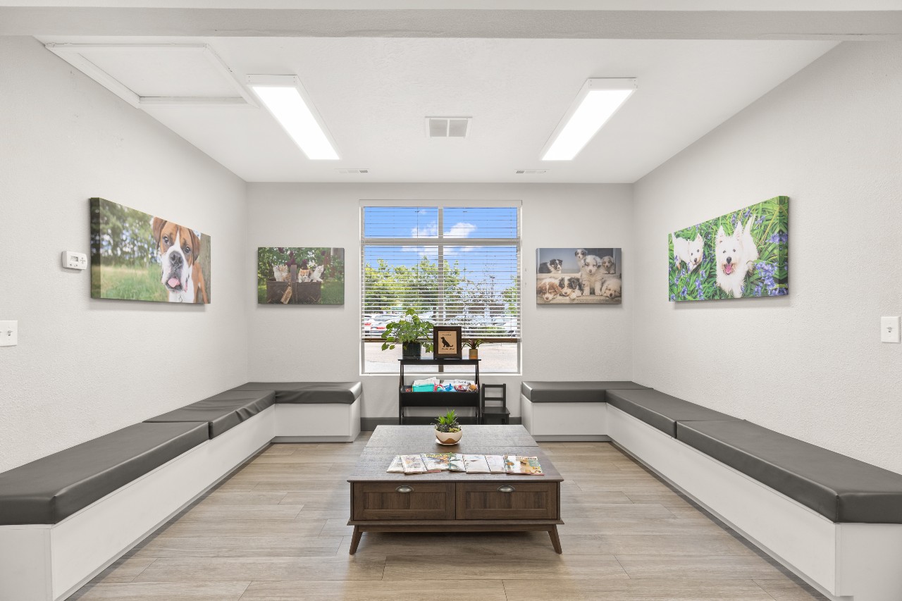 Waiting area at All Pet Complex Veterinary Hospital