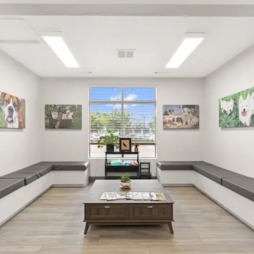 Waiting area at All Pet Complex Veterinary Hospital Waiting area at All Pet Complex Veterinary Hospital