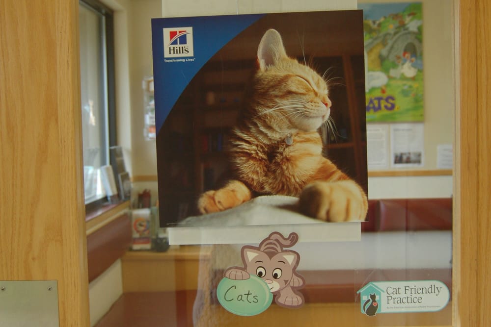 lobby at Kenmore Animal Hospital