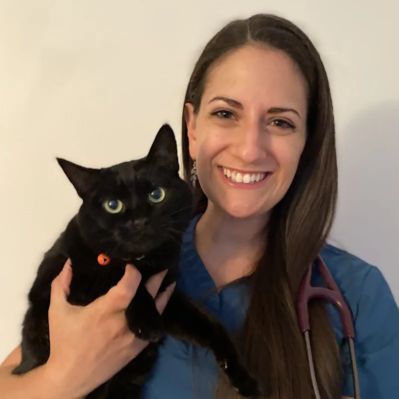 Dr. Anastasia Bredienbaugh holding a cat Dr. Anastasia Bredienbaugh holding a cat