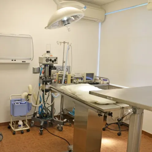 Surgery room at FVRC