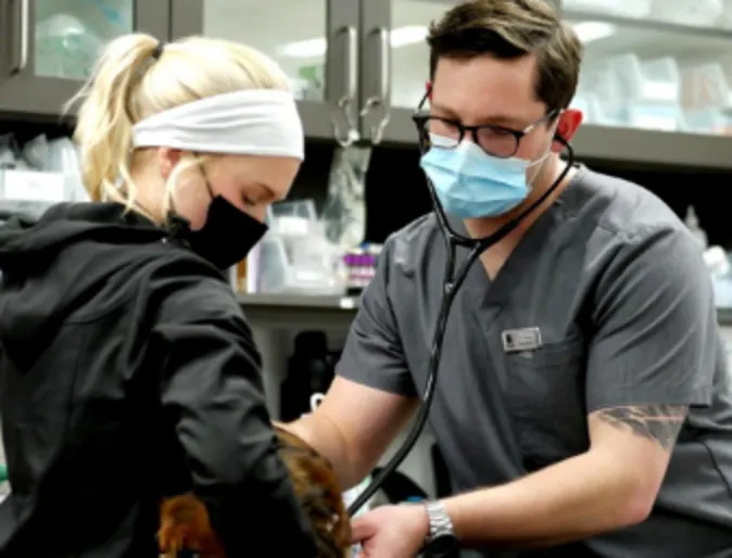 Two Mountainside employees helping an animal Two Mountainside employees helping an animal