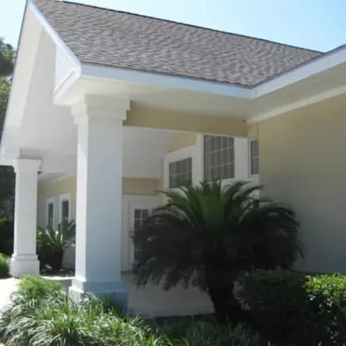 Island Animal Hospital Exterior entrance and small palm trees Island Animal Hospital Exterior entrance and small palm trees