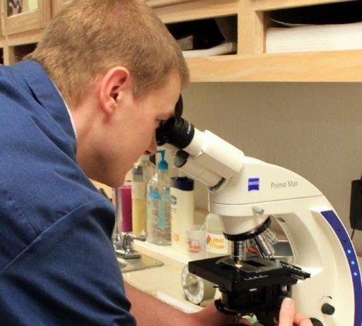 A veterinarian using a microscope to examine a specimen at the Eastview Veterinary Clinic
